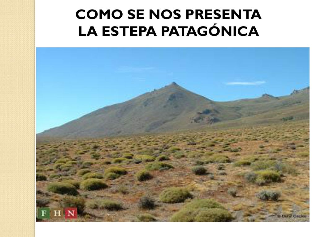 COMO SE NOS PRESENTA LA ESTEPA PATAGÓNICA