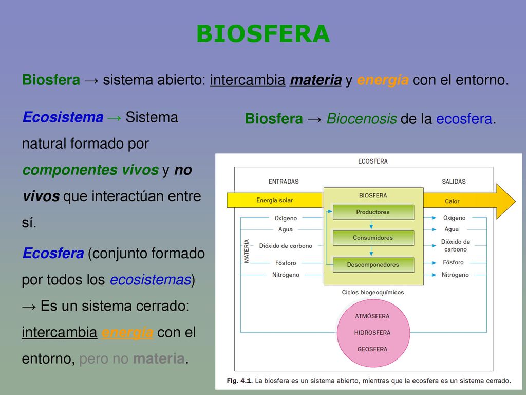 BIOSFERA Biosfera → sistema abierto: intercambia materia y energía con el entorno.