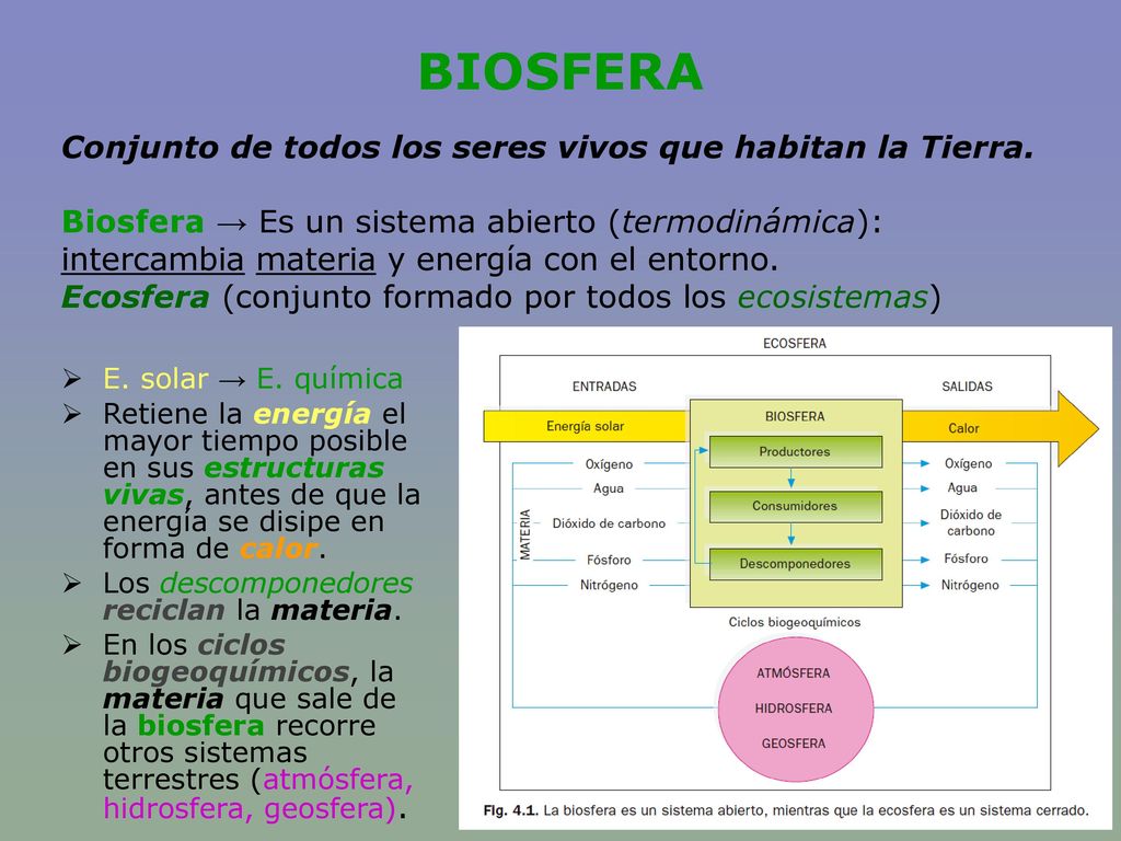 BIOSFERA Conjunto de todos los seres vivos que habitan la Tierra.