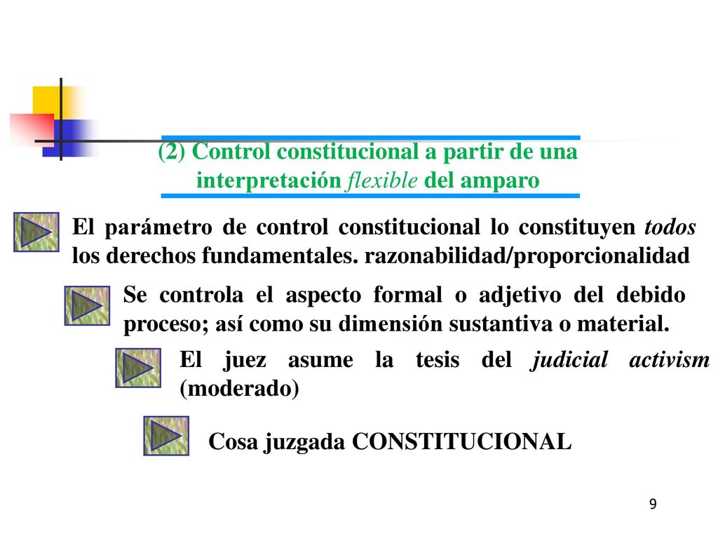 (2) Control constitucional a partir de una interpretación flexible del amparo