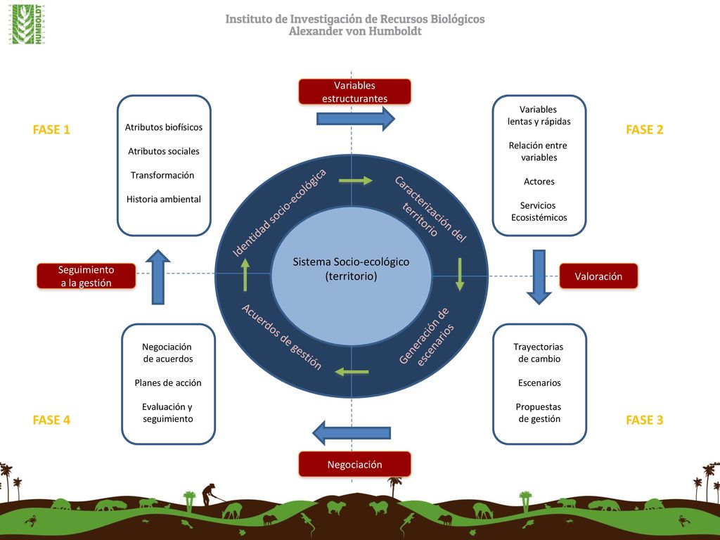 FASE 1 FASE 4 FASE 3 FASE 2 Identidad socio-ecológica