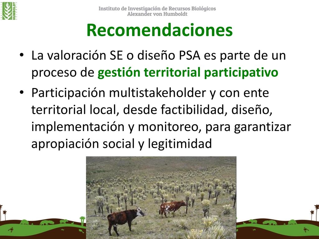 Recomendaciones La valoración SE o diseño PSA es parte de un proceso de gestión territorial participativo.