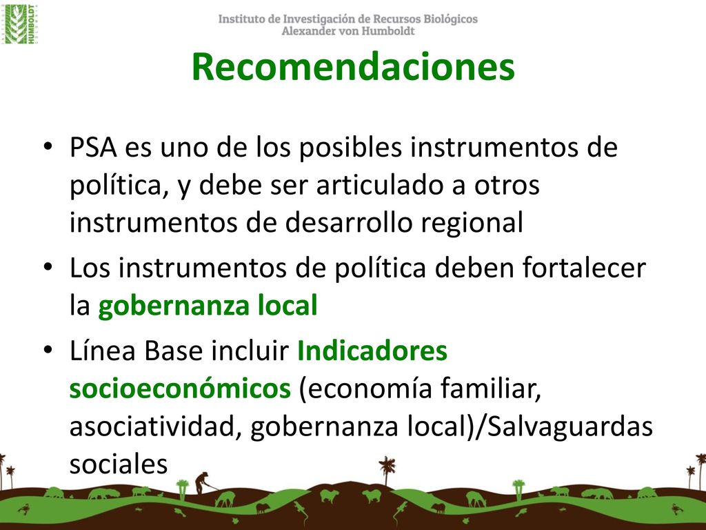 Recomendaciones PSA es uno de los posibles instrumentos de política, y debe ser articulado a otros instrumentos de desarrollo regional.