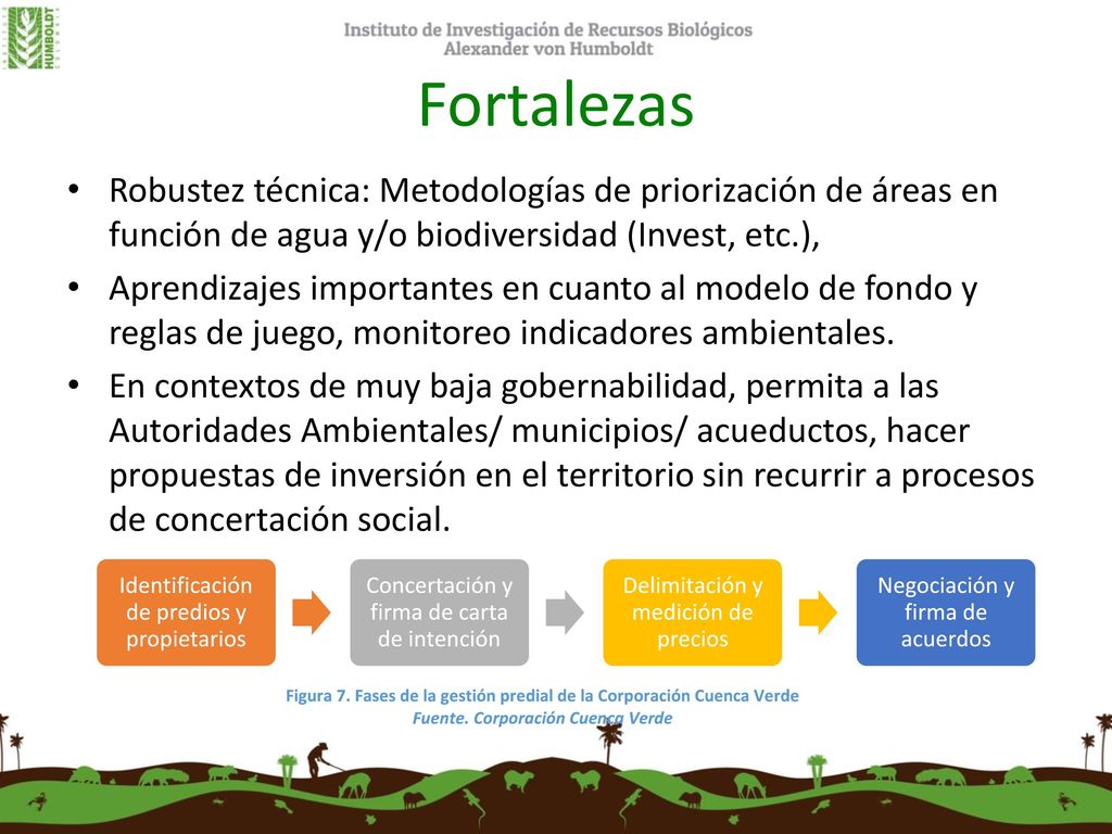 Fortalezas Robustez técnica: Metodologías de priorización de áreas en función de agua y/o biodiversidad (Invest, etc.),