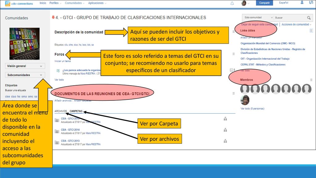 Aquí se pueden incluir los objetivos y razones de ser del GTCI