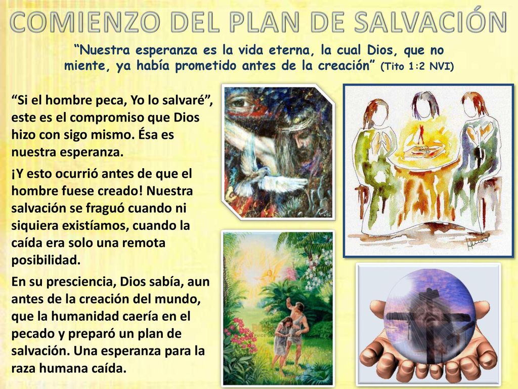Nuestra esperanza es la vida eterna, la cual Dios, que no miente, ya había prometido antes de la creación (Tito 1:2 NVI)