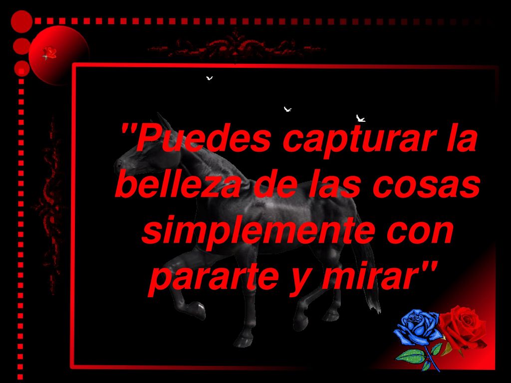 Puedes capturar la belleza de las cosas simplemente con pararte y mirar