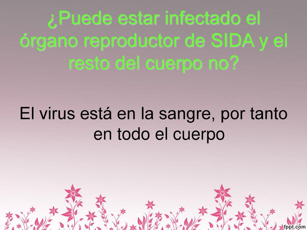 El virus está en la sangre, por tanto en todo el cuerpo