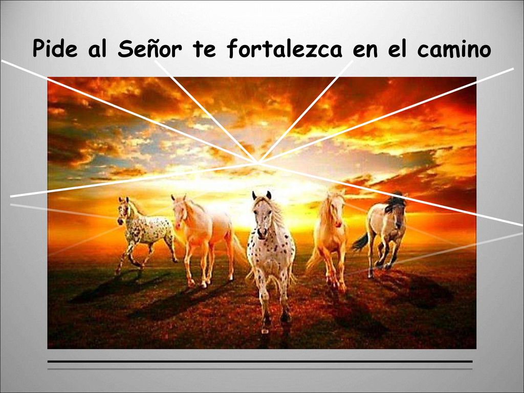 Pide al Señor te fortalezca en el camino