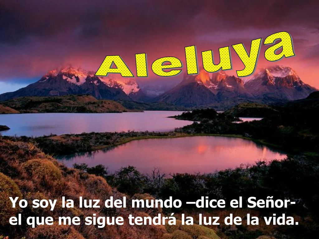 Aleluya Yo soy la luz del mundo –dice el Señor- el que me sigue tendrá la luz de la vida.