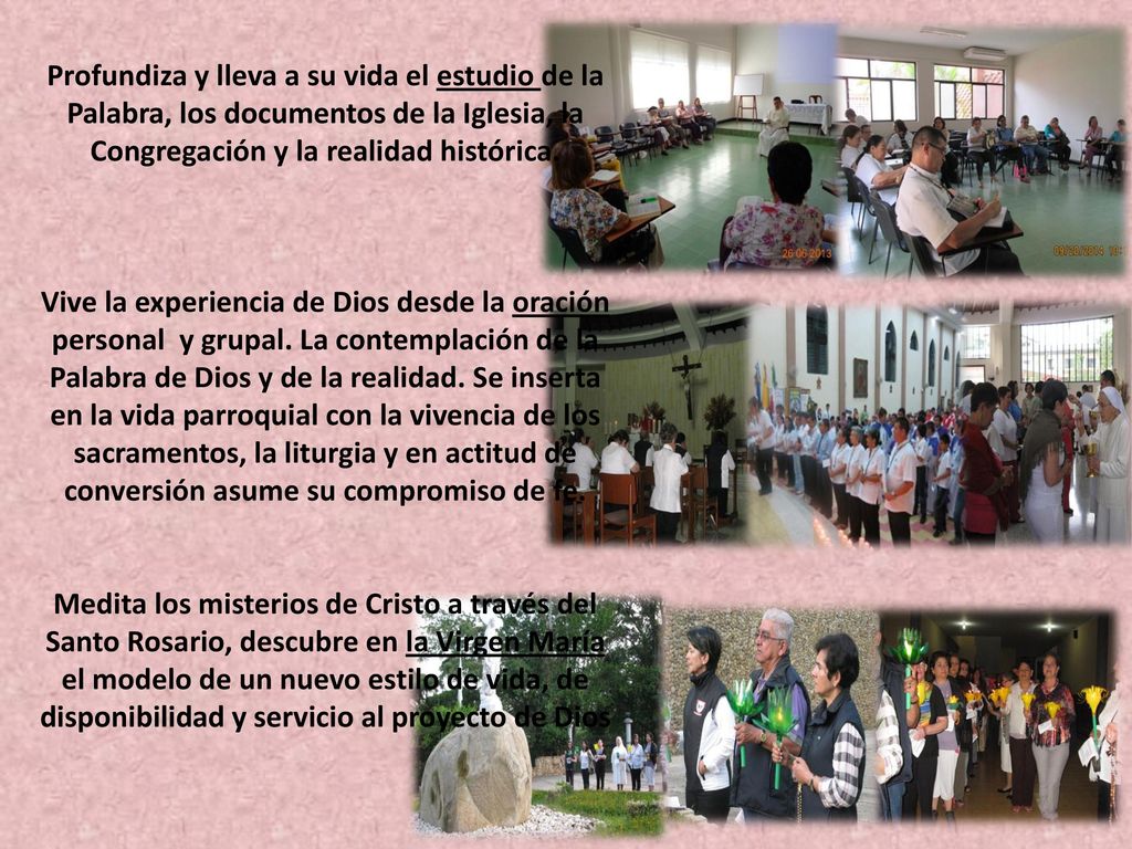 Profundiza y lleva a su vida el estudio de la Palabra, los documentos de la Iglesia, la Congregación y la realidad histórica.