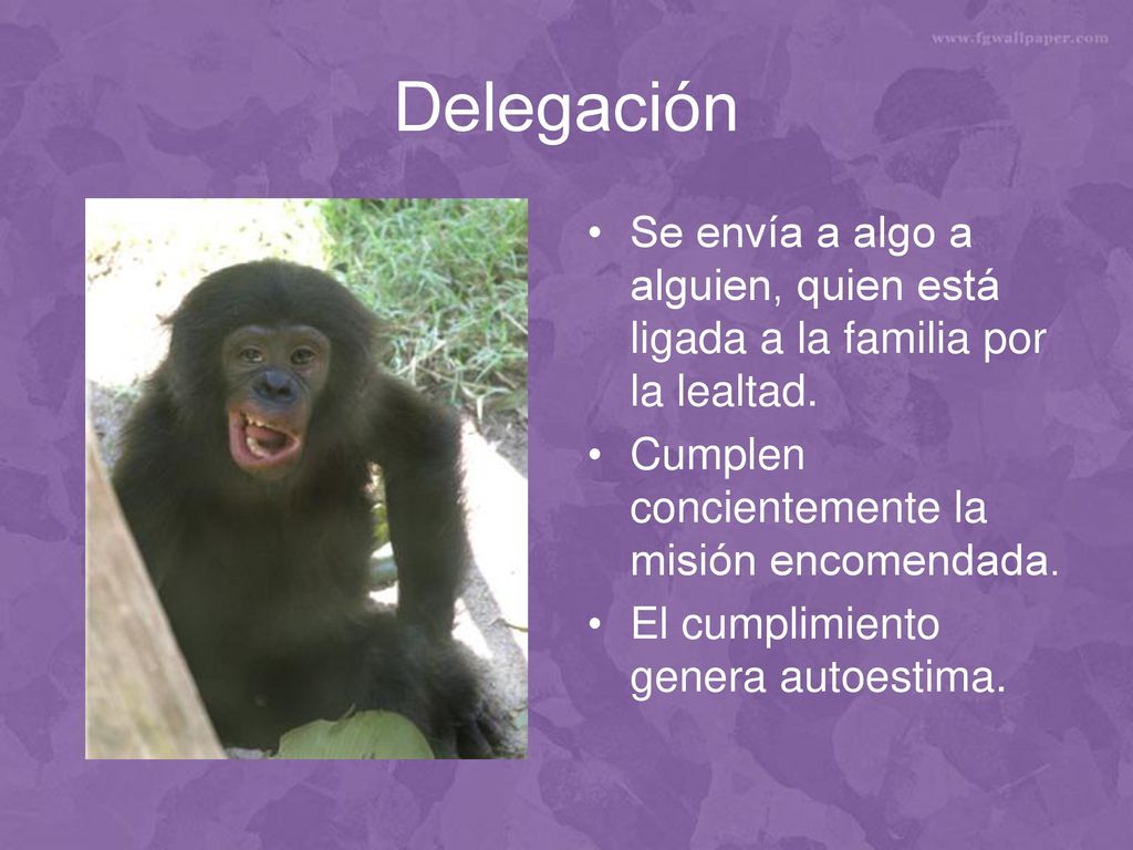 Delegación Se envía a algo a alguien, quien está ligada a la familia por la lealtad. Cumplen concientemente la misión encomendada.