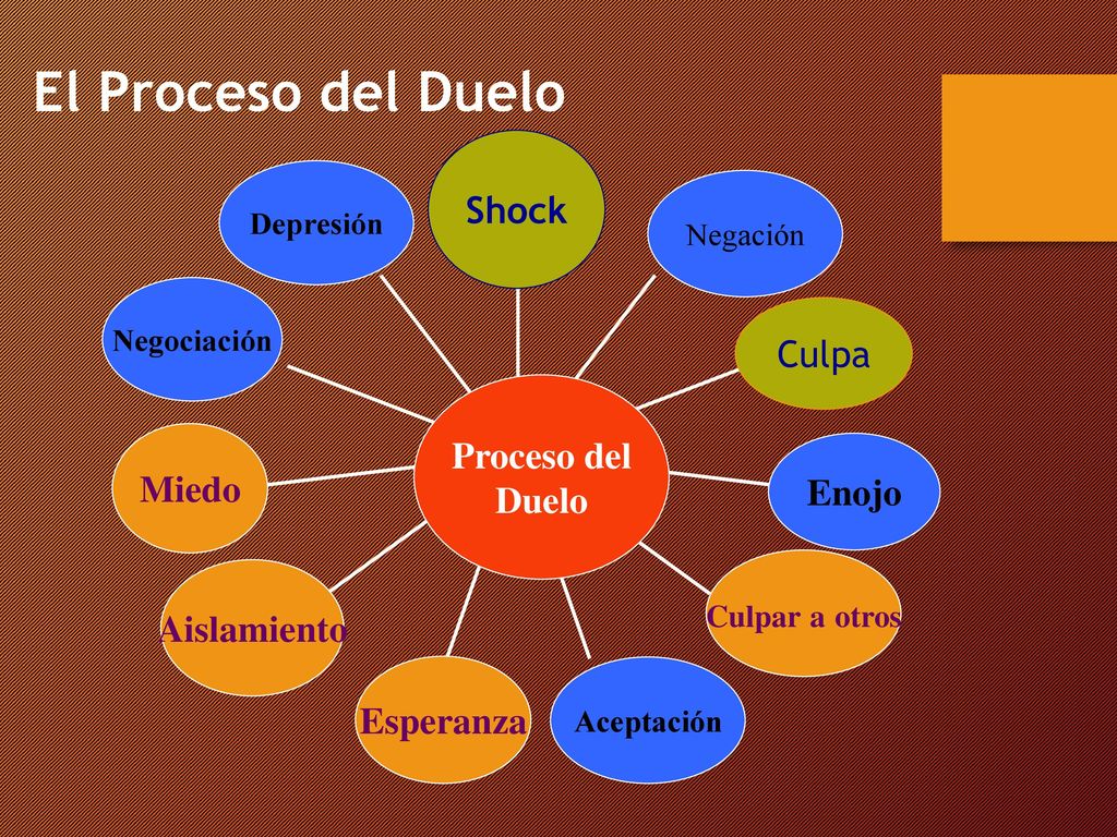 El Proceso del Duelo Shock Culpa Proceso del Duelo Miedo Enojo