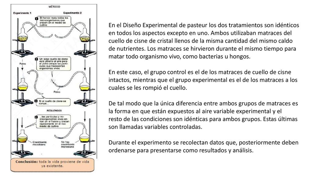 En el Diseño Experimental de pasteur los dos tratamientos son idénticos en todos los aspectos excepto en uno. Ambos utilizaban matraces del cuello de cisne de cristal llenos de la misma cantidad del mismo caldo de nutrientes. Los matraces se hirvieron durante el mismo tiempo para matar todo organismo vivo, como bacterias u hongos.