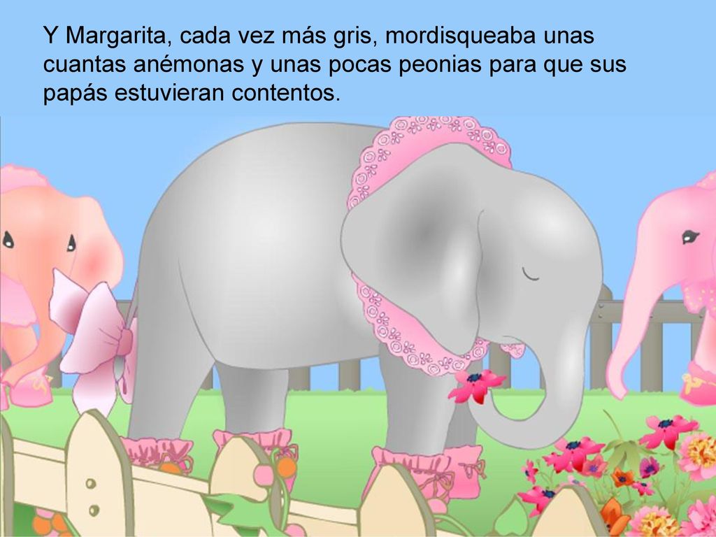 Y Margarita, cada vez más gris, mordisqueaba unas cuantas anémonas y unas pocas peonias para que sus papás estuvieran contentos.