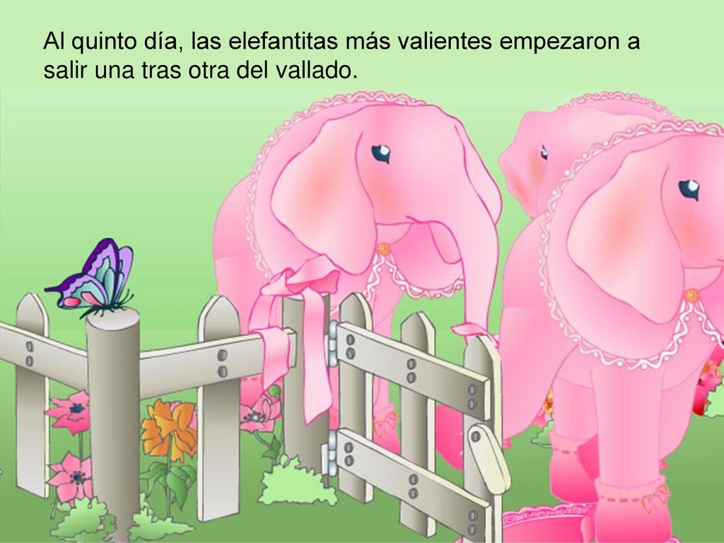 Al quinto día, las elefantitas más valientes empezaron a salir una tras otra del vallado.