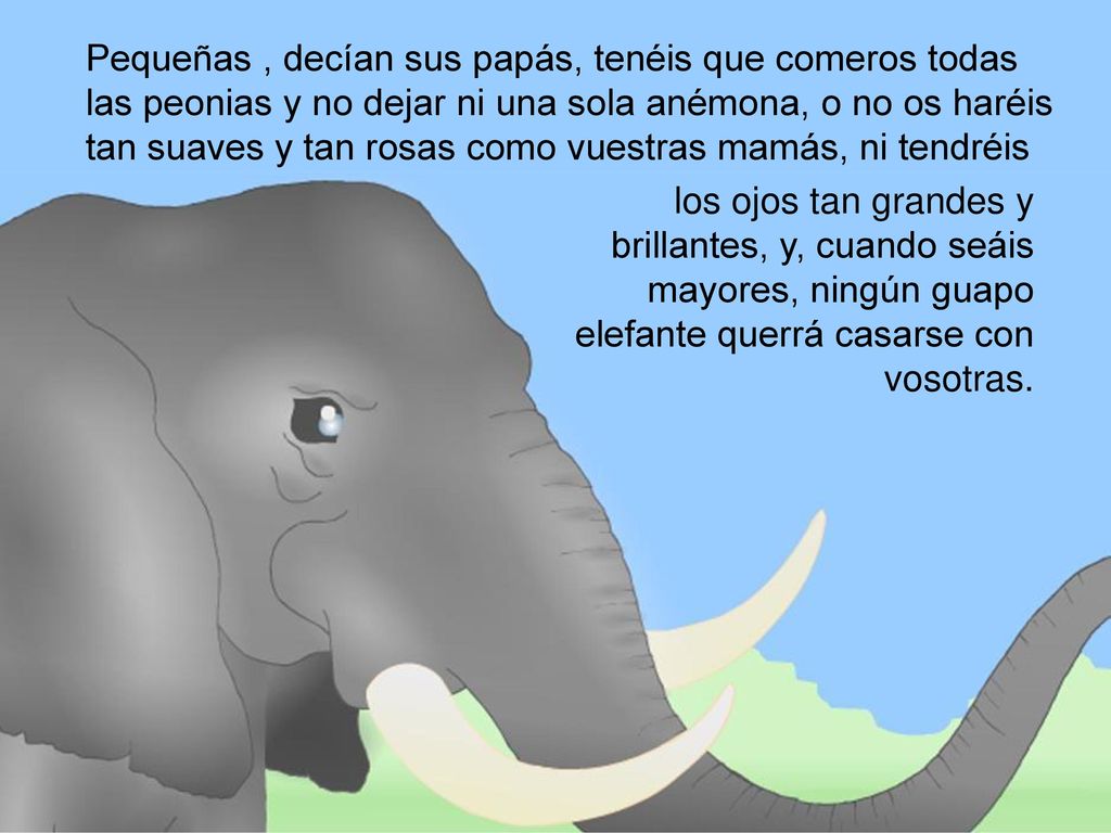 Pequeñas , decían sus papás, tenéis que comeros todas las peonias y no dejar ni una sola anémona, o no os haréis tan suaves y tan rosas como vuestras mamás, ni tendréis