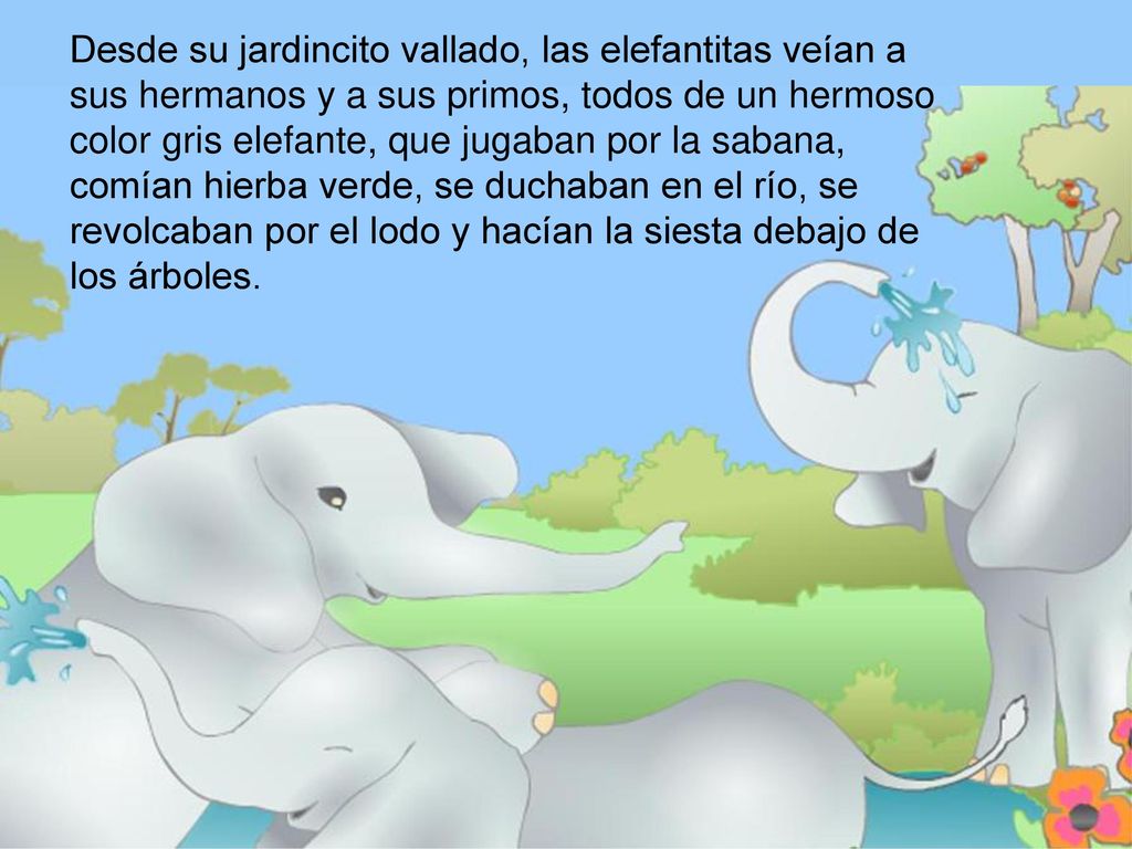 Desde su jardincito vallado, las elefantitas veían a sus hermanos y a sus primos, todos de un hermoso color gris elefante, que jugaban por la sabana, comían hierba verde, se duchaban en el río, se revolcaban por el lodo y hacían la siesta debajo de los árboles.
