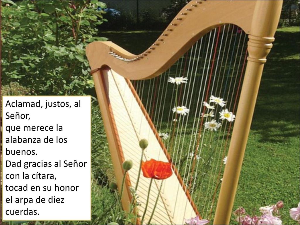 Aclamad, justos, al Señor, que merece la alabanza de los buenos