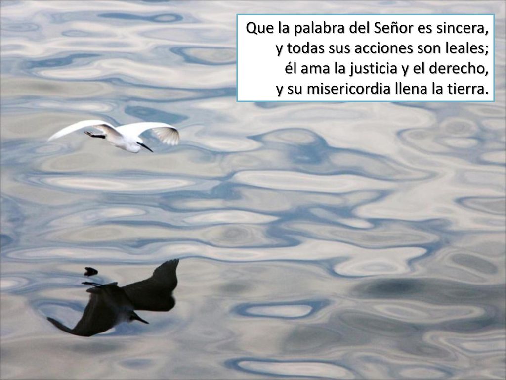 Que la palabra del Señor es sincera, y todas sus acciones son leales; él ama la justicia y el derecho, y su misericordia llena la tierra.
