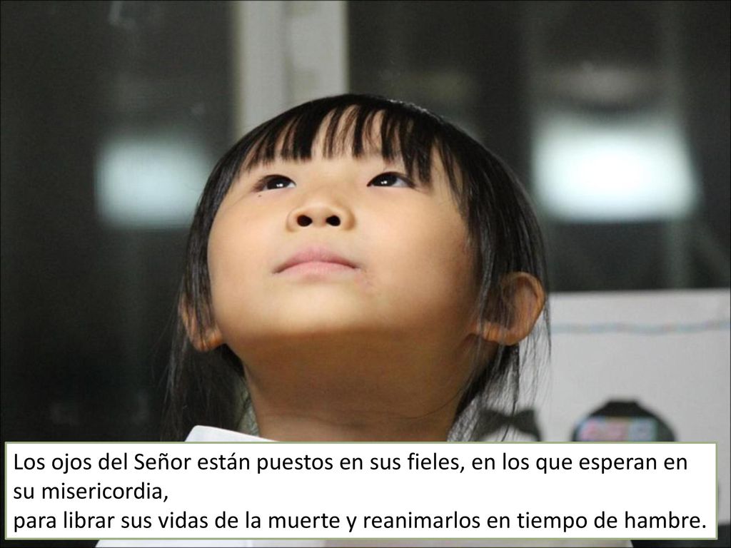 Los ojos del Señor están puestos en sus fieles, en los que esperan en su misericordia, para librar sus vidas de la muerte y reanimarlos en tiempo de hambre.