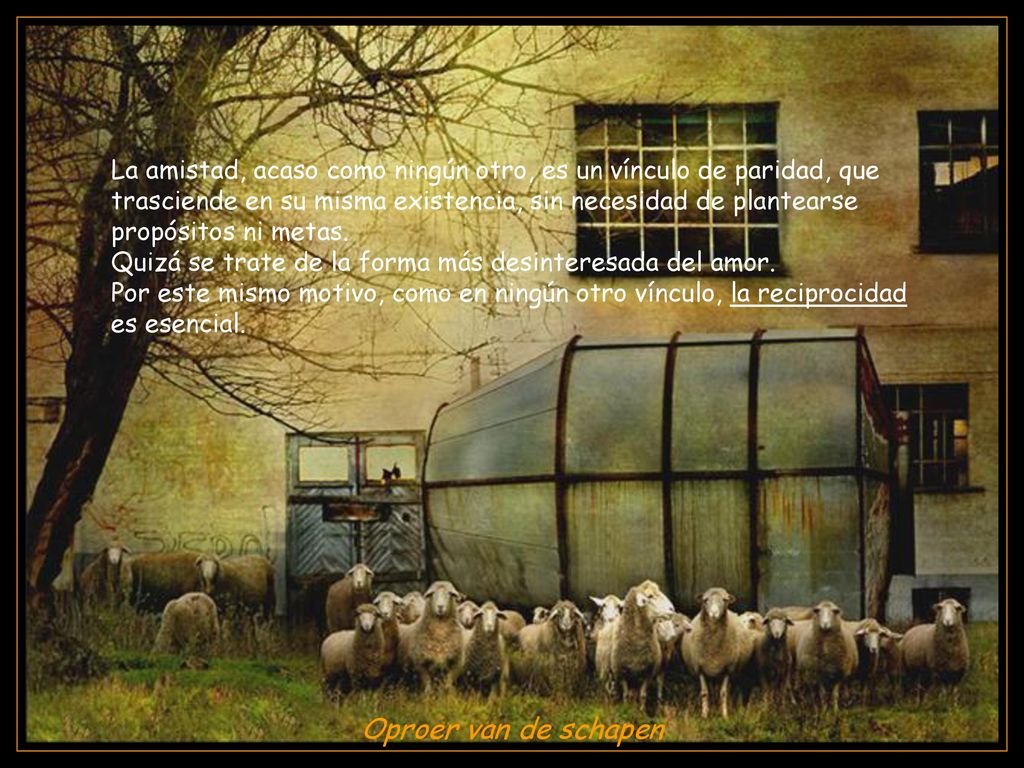 La amistad, acaso como ningún otro, es un vínculo de paridad, que trasciende en su misma existencia, sin necesidad de plantearse propósitos ni metas.