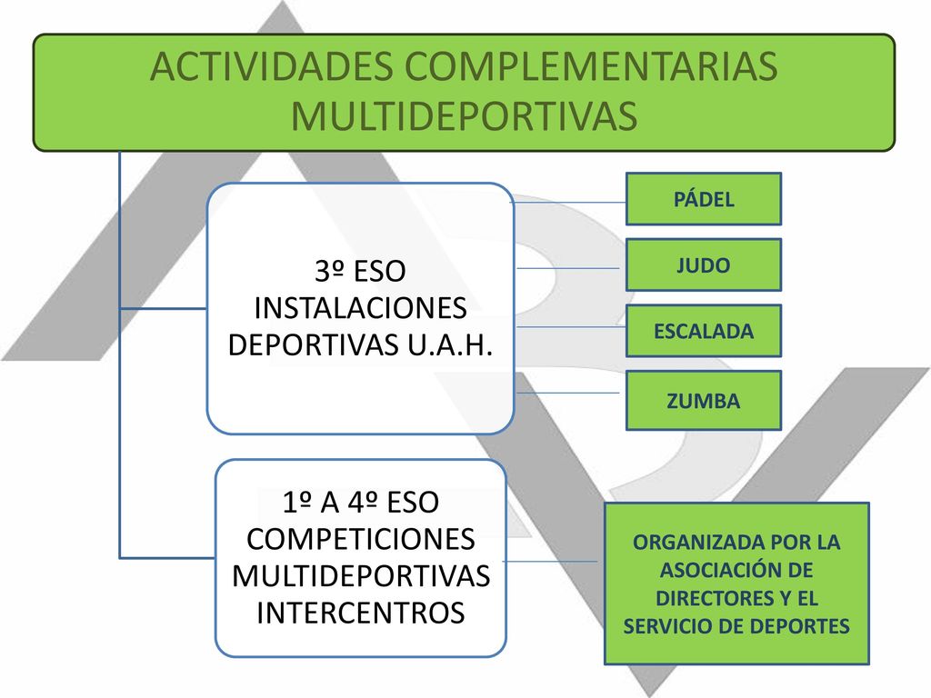 ORGANIZADA POR LA ASOCIACIÓN DE DIRECTORES Y EL SERVICIO DE DEPORTES
