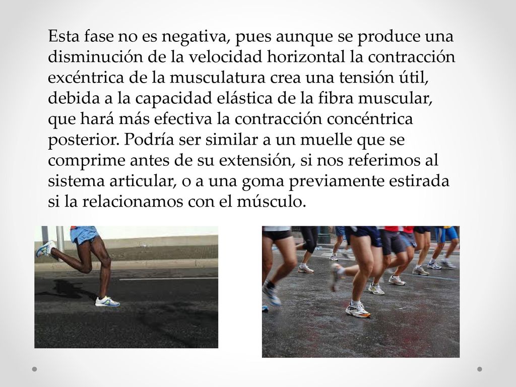 Esta fase no es negativa, pues aunque se produce una disminución de la velocidad horizontal la contracción excéntrica de la musculatura crea una tensión útil, debida a la capacidad elástica de la fibra muscular, que hará más efectiva la contracción concéntrica posterior.