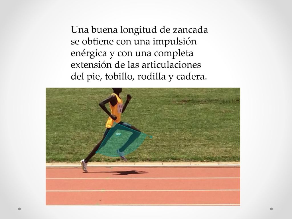 Una buena longitud de zancada se obtiene con una impulsión enérgica y con una completa extensión de las articulaciones del pie, tobillo, rodilla y cadera.
