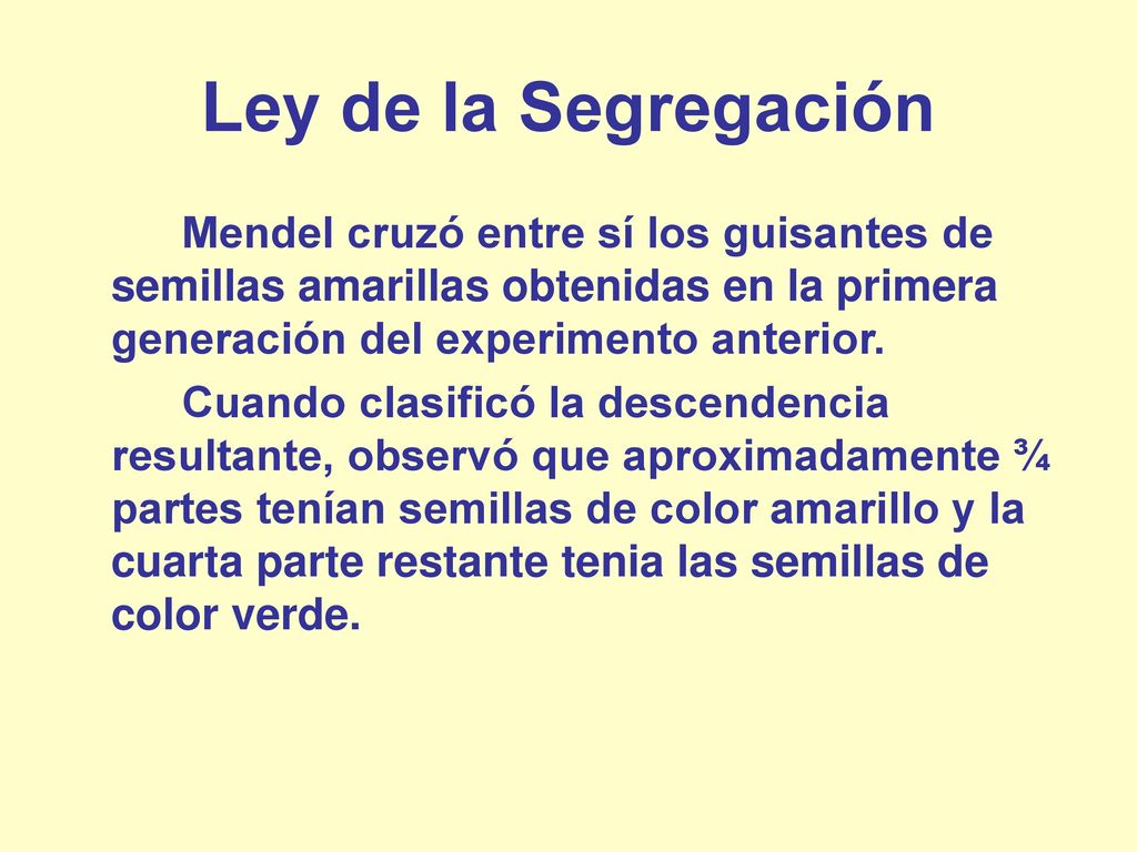 Ley de la Segregación Mendel cruzó entre sí los guisantes de semillas amarillas obtenidas en la primera generación del experimento anterior.
