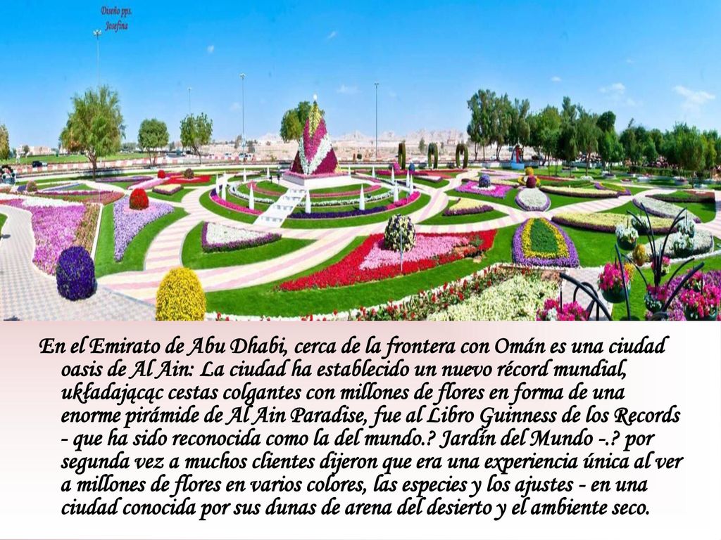 En el Emirato de Abu Dhabi, cerca de la frontera con Omán es una ciudad oasis de Al Ain: La ciudad ha establecido un nuevo récord mundial, układającąc cestas colgantes con millones de flores en forma de una enorme pirámide de Al Ain Paradise, fue al Libro Guinness de los Records - que ha sido reconocida como la del mundo..