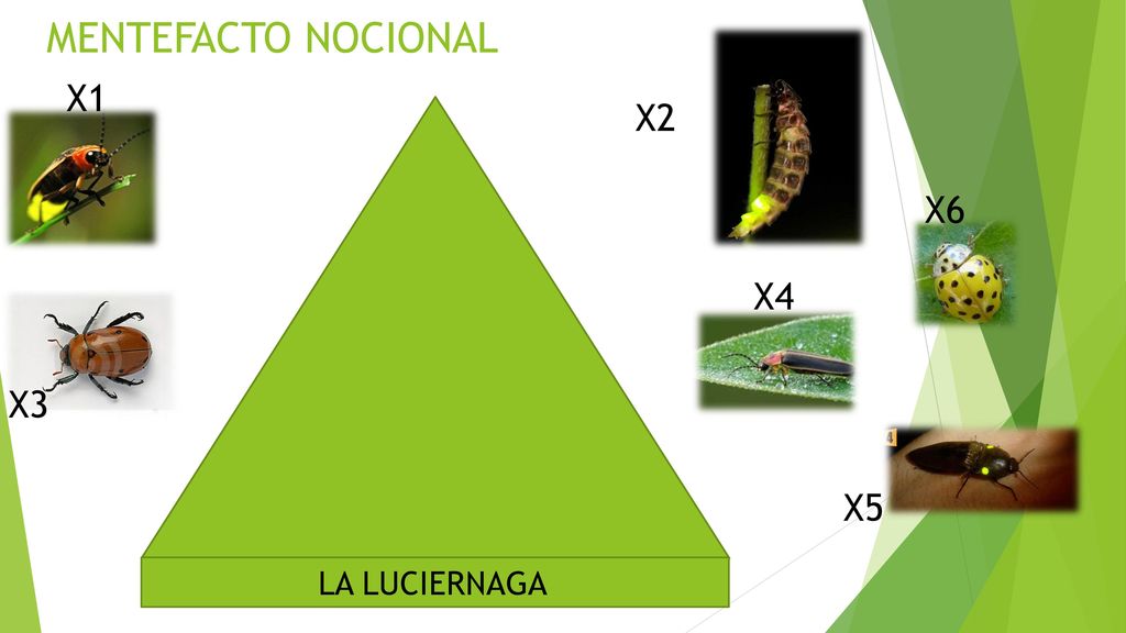 MENTEFACTO NOCIONAL X1 X2 X6 X4 X3 X5 LA LUCIERNAGA