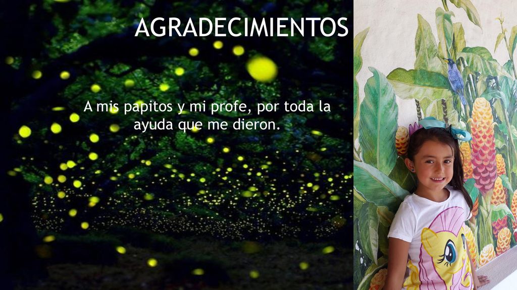 A mis papitos y mi profe, por toda la ayuda que me dieron.