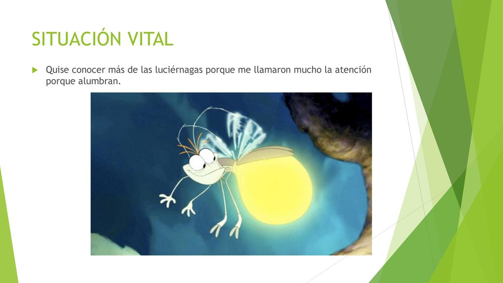 SITUACIÓN VITAL Quise conocer más de las luciérnagas porque me llamaron mucho la atención porque alumbran.