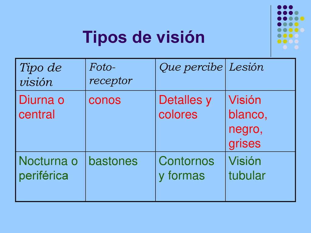 Tipos de visión Tipo de visión Diurna o central conos