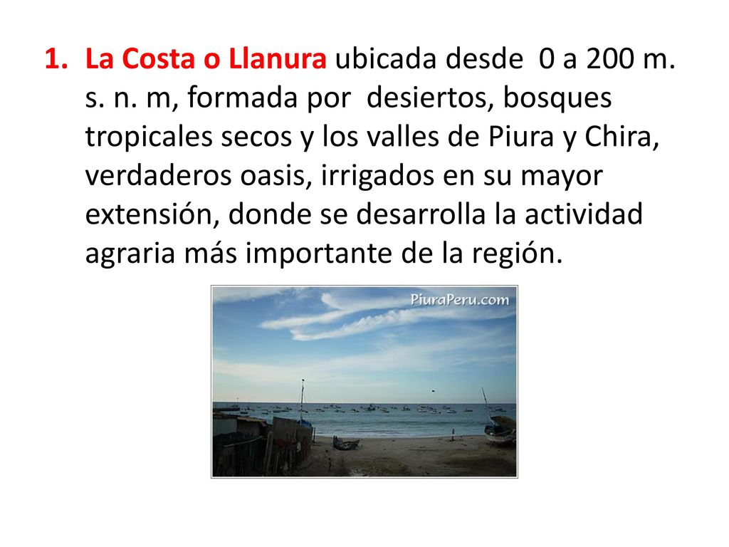 La Costa o Llanura ubicada desde 0 a 200 m. s. n