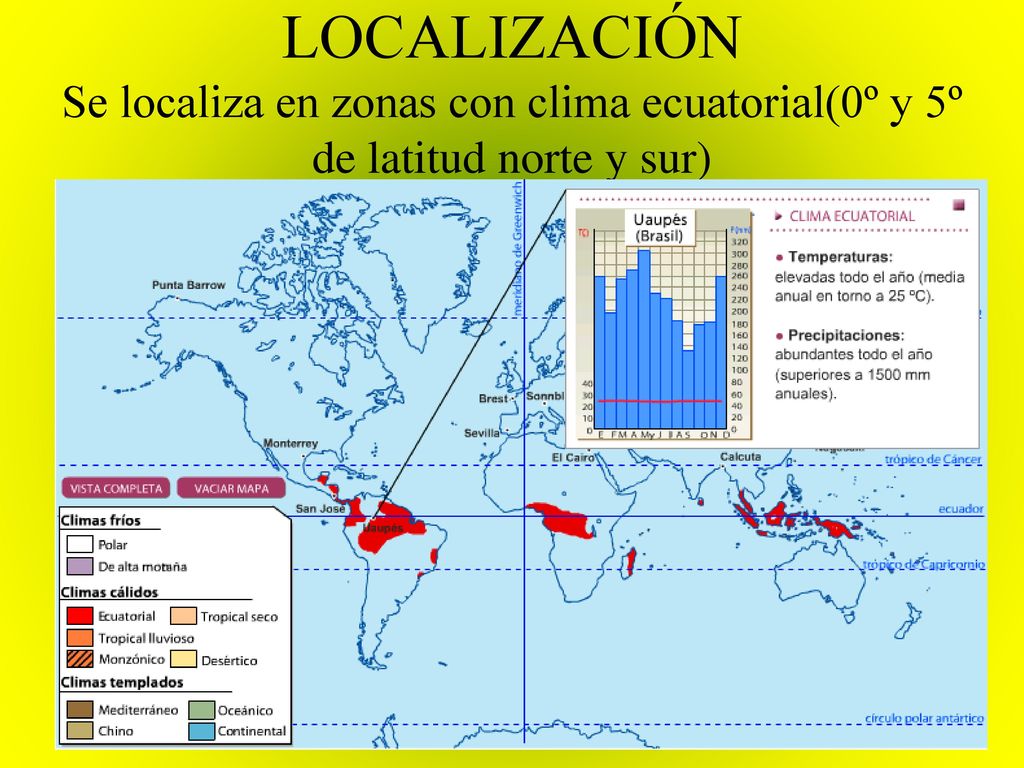 LOCALIZACIÓN Se localiza en zonas con clima ecuatorial(0º y 5º de latitud norte y sur)