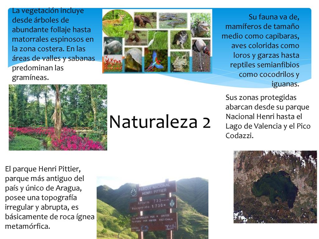 La vegetación incluye desde árboles de abundante follaje hasta matorrales espinosos en la zona costera. En las áreas de valles y sabanas predominan las gramíneas.