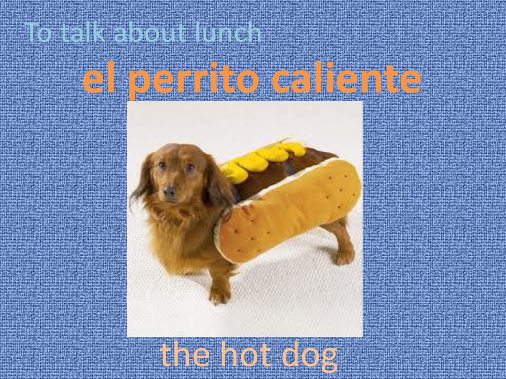 To talk about lunch el perrito caliente the hot dog