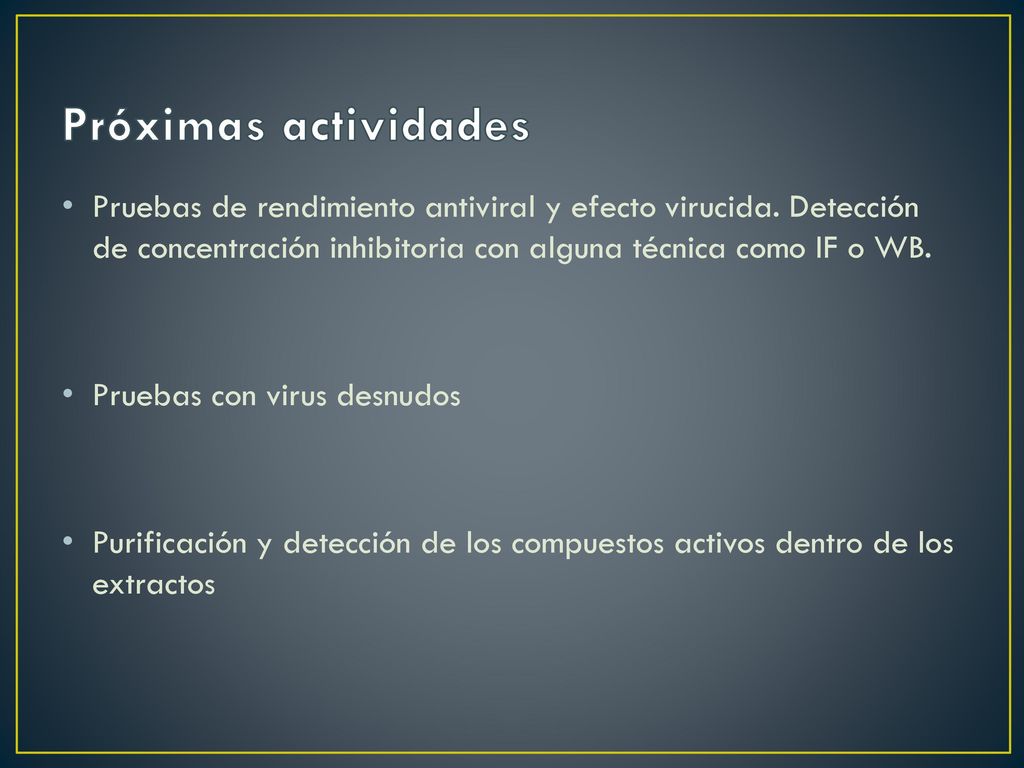 Próximas actividades Pruebas de rendimiento antiviral y efecto virucida. Detección de concentración inhibitoria con alguna técnica como IF o WB.