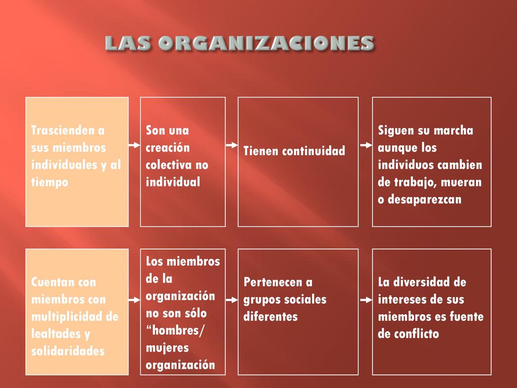 LAS ORGANIZACIONES Trascienden a sus miembros individuales y al tiempo