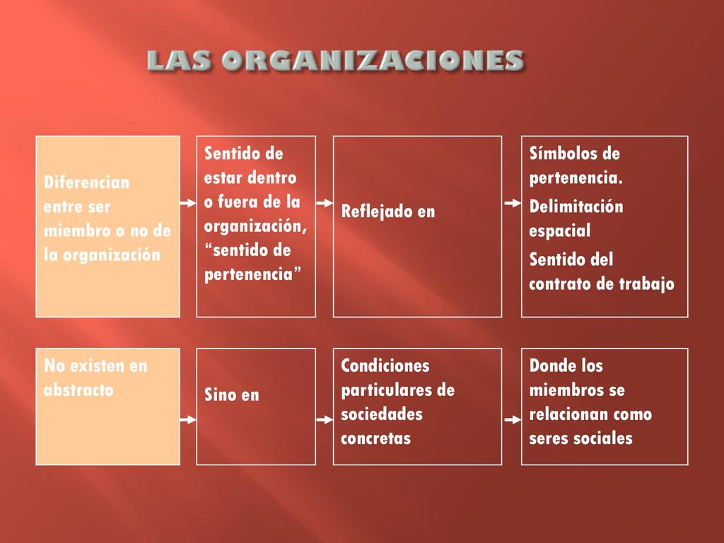 LAS ORGANIZACIONES Diferencian entre ser miembro o no de la organización.