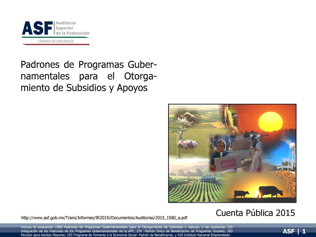 Padrones de Programas Guber-namentales para el Otorga-miento de Subsidios y Apoyos
