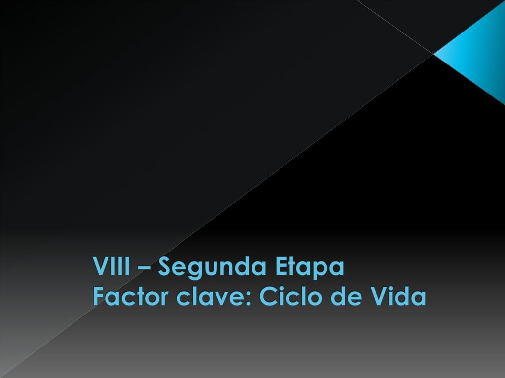 VIII – Segunda Etapa Factor clave: Ciclo de Vida