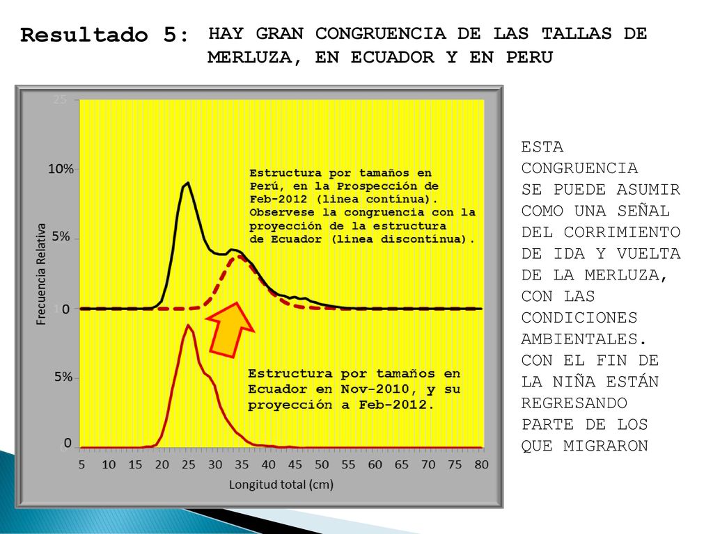Resultado 5: HAY GRAN CONGRUENCIA DE LAS TALLAS DE