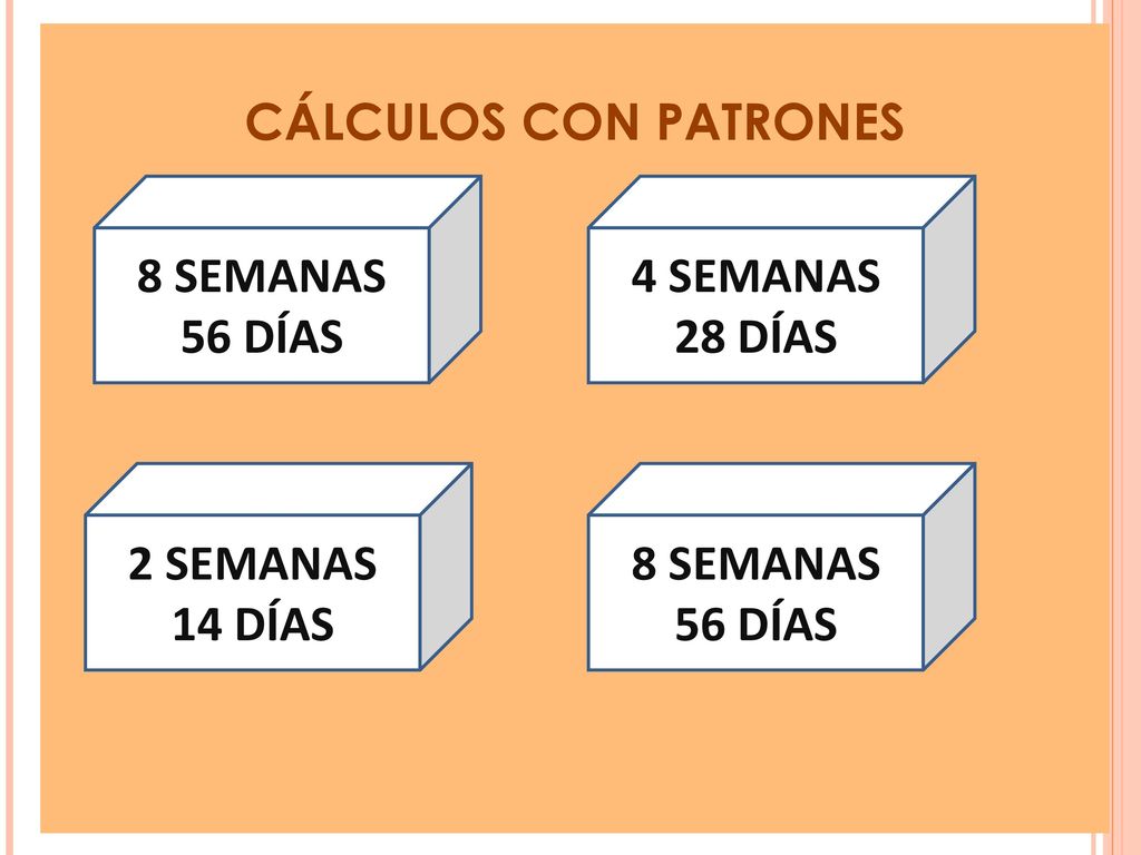 CÁLCULOS CON PATRONES 8 SEMANAS 56 DÍAS 4 SEMANAS 28 DÍAS 2 SEMANAS 14 DÍAS 8 SEMANAS 56 DÍAS