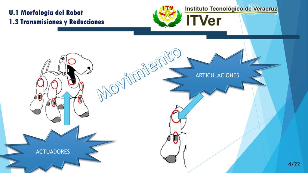 Movimiento U.1 Morfología del Robot 1.3 Transmisiones y Reducciones