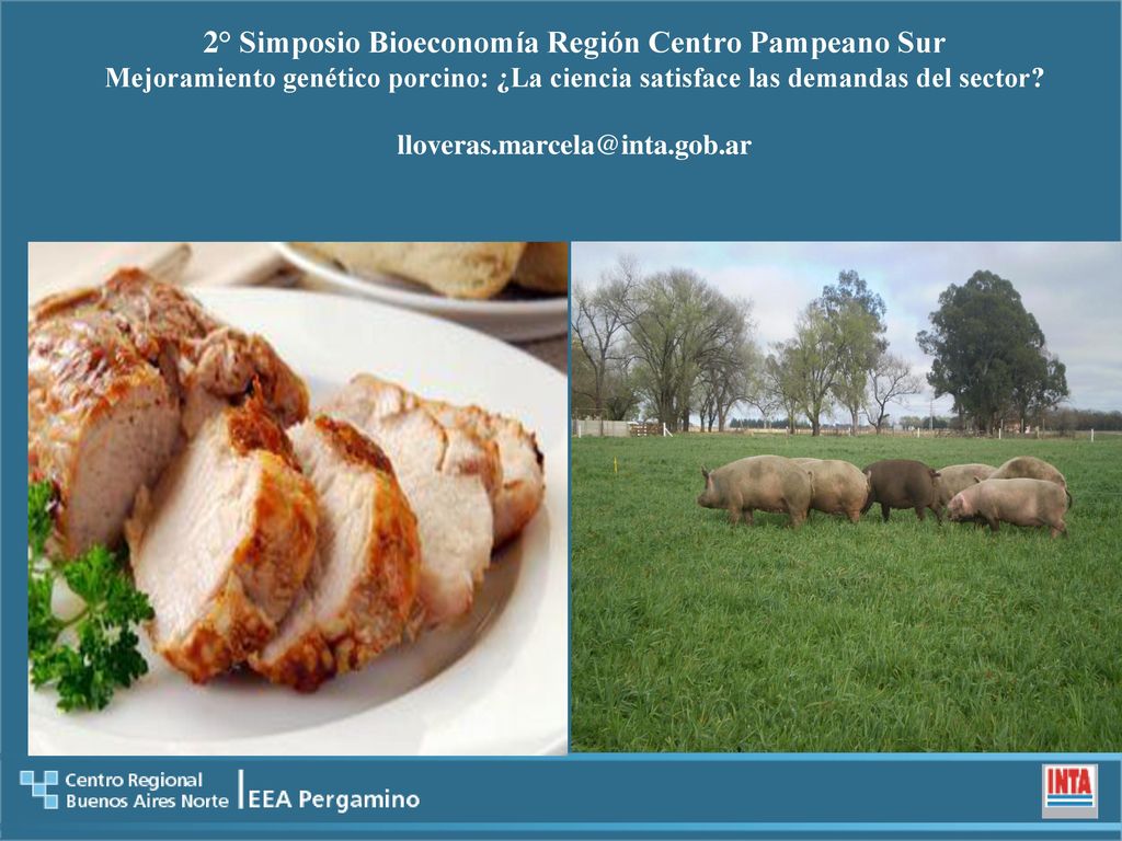2° Simposio Bioeconomía Región Centro Pampeano Sur Mejoramiento genético porcino: ¿La ciencia satisface las demandas del sector.