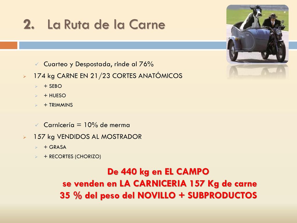 2. La Ruta de la Carne De 440 kg en EL CAMPO