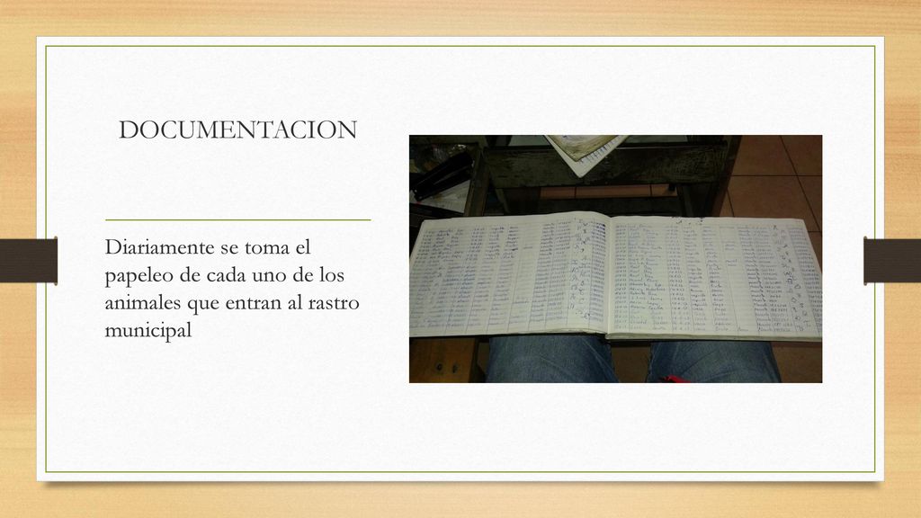 DOCUMENTACION Diariamente se toma el papeleo de cada uno de los animales que entran al rastro municipal.